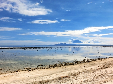 gilit (27)